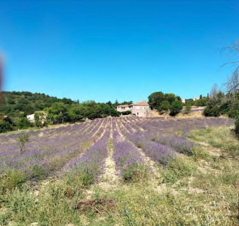 Lou Paradou Luberon Reillanne Exterior foto