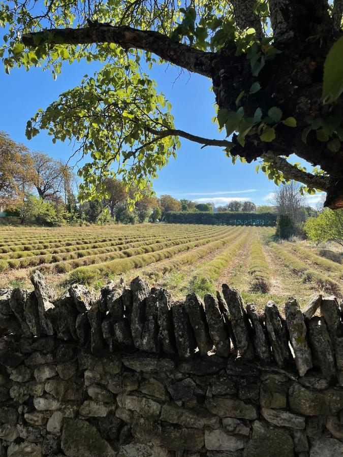 Lou Paradou Luberon Reillanne Exterior foto